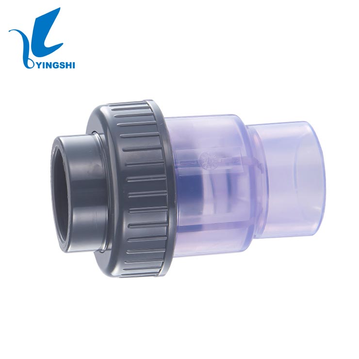 Transparent Single Union Check Valve